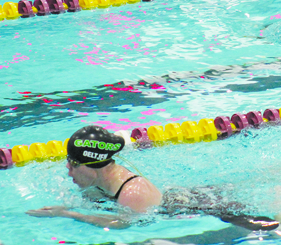 Chemka Pool will be offering Private Swim Lesson! Registration will begin  tomorrow Thursday July 23rd at 9 AM