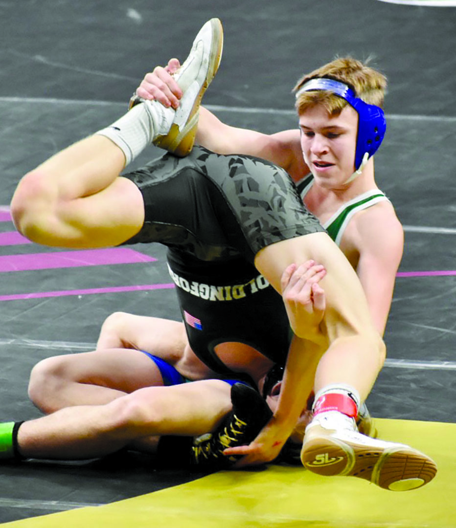 Laker wrestlers come home with state hardware - Pope County Tribune