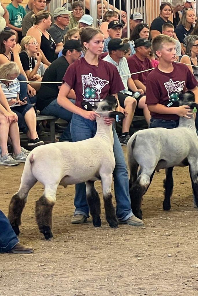 Pope County 4 H Youth Exhibit Their Best At The 2023 Minnesota State   370398172 681452014028404 3002484676943283351 N 685x1024 